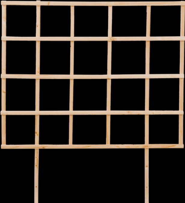Actual product image Esschert Design Raised bed trellis blank S
