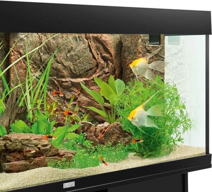 Produktbild Juwel Aquarium Filtercover Cliff Dark 555x186/157mm (Rückwand, sonstige Gegenstände)