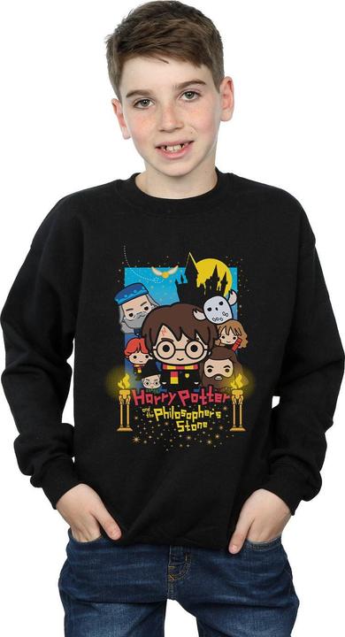 Image du produit Harry Potter Sweatshirt pour garçons (116)