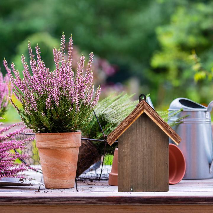 Productafbeelding Relaxdays Lieveheersbeestjeshuis (Lieveheersbeestje)