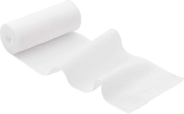 Image du produit Hartmann Bande Peha-Lastotel 12cmx4m, 1 pc BIN