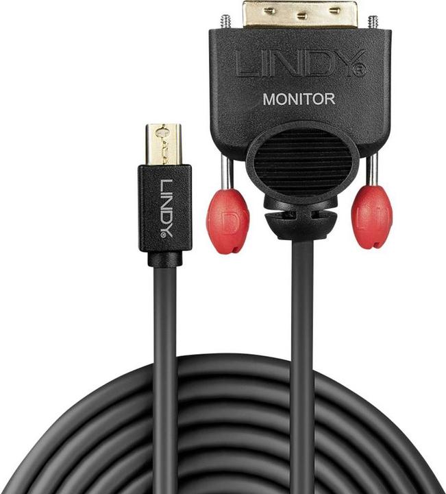 Actual product image Lindy Mini DisplayPort — DVI (2 m, DVI, DisplayPort)