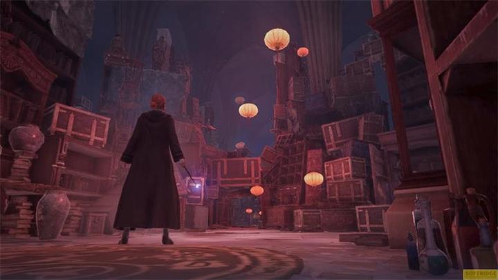 Productafbeelding WB Hogwarts Legacy (Switch, DE, FR)