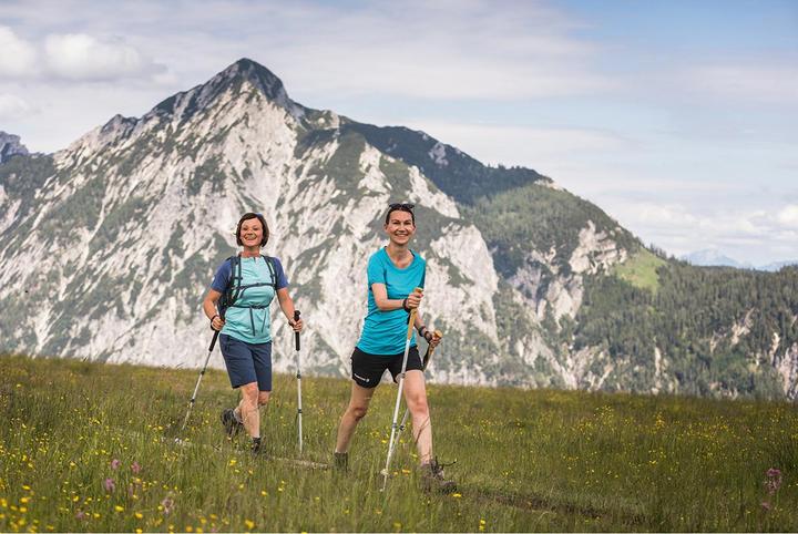 Produktbild Komperdell Borea Carbon Pro Wanderstöcke (90 - 120 cm)