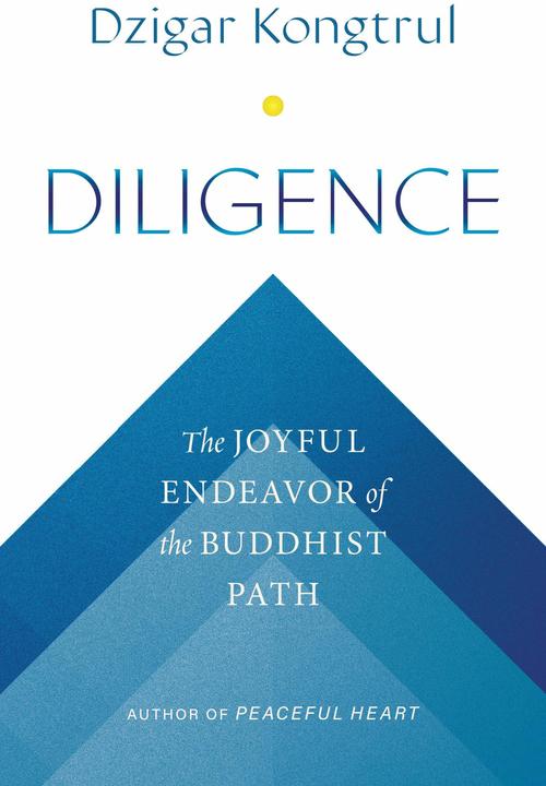 Immagine prodotto Diligence (Inglese, Dzigar Kongtrul, Pema chodron, Jennifer Shippee, 2024)