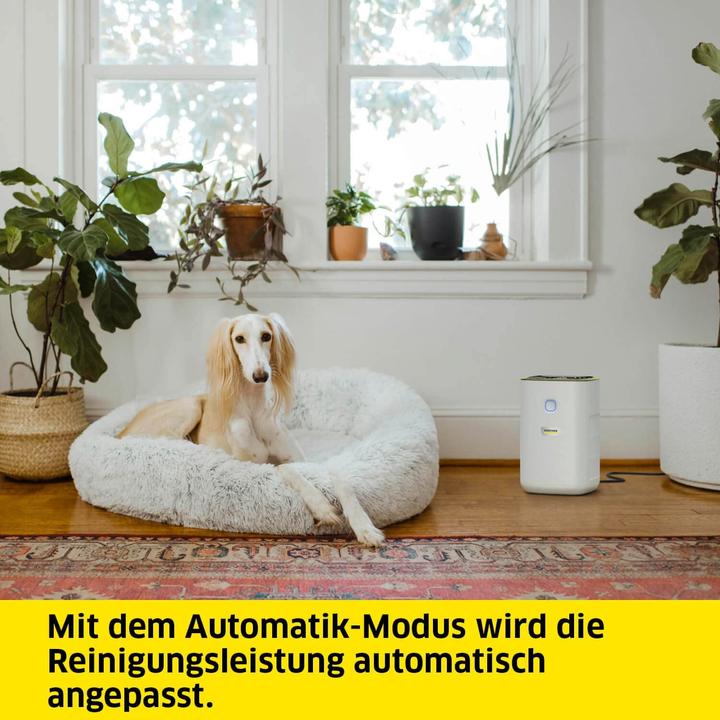 Actual product image Kärcher AF 20 (20 m²)