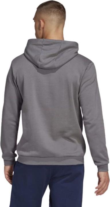 Actual product image adidas Entrada 22 hoodie men (XL)