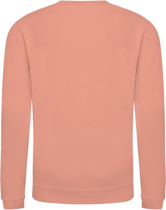 Actual product image Awdis Just Hoods pullover sweatshirt plain-coloured (146)