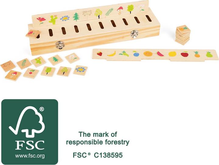 Actual product image small foot Educate picture sorting box