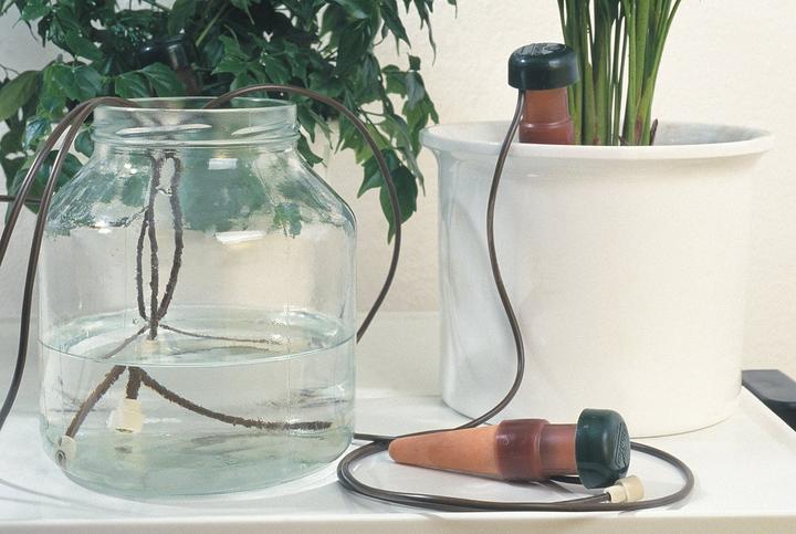 Actual product image Blumat Water dispenser (Clay cone)