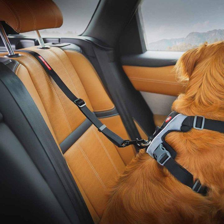 Immagine prodotto EzyDog Cintura di sicurezza Click Dog Isofix L - (605.0746) (Cane)