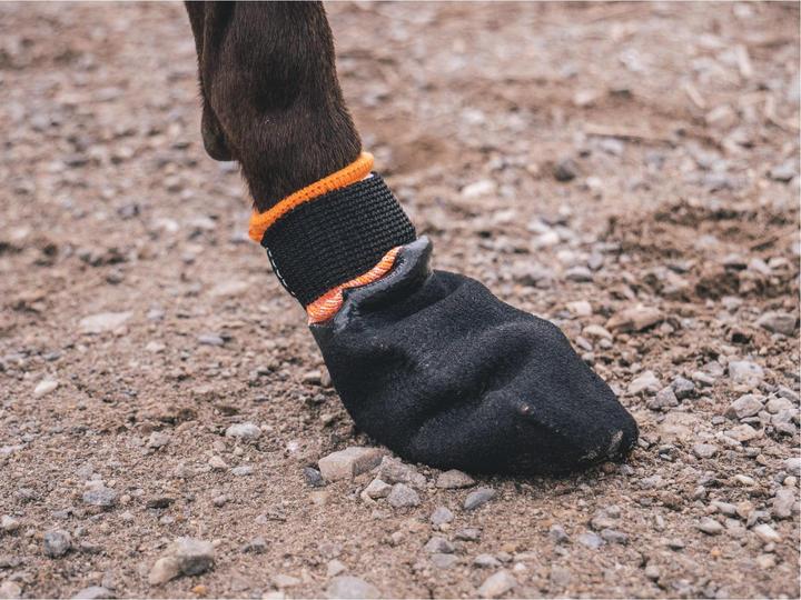 Produktbild Non-Stop Dogwear Protector (M, Hundebademantel)