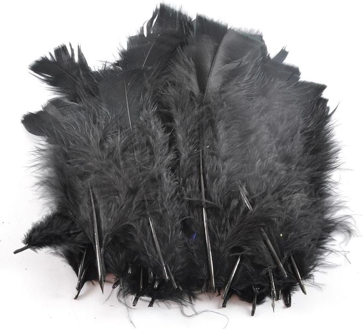 Image du produit Natura Punto Plumes de bricolage souples 35 pièces, noir, longueur 17 cm
