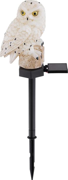 Actual product image Globo Solar light black 1xLED (IP44)