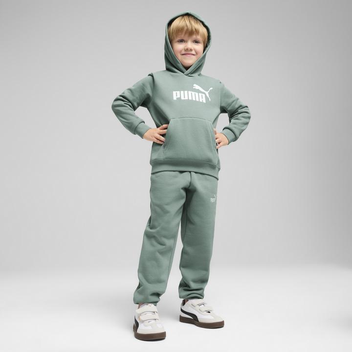 Image du produit Puma Sweat à capuche ESS No. 1 Logo FL PS (110)