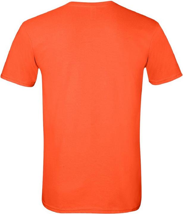 Actual product image Gildan SoftStyle T-shirt short sleeve round neckline (M)