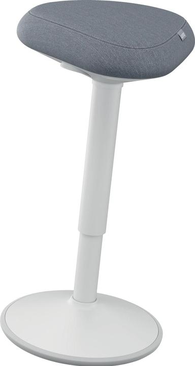 Leitz Ergo Active