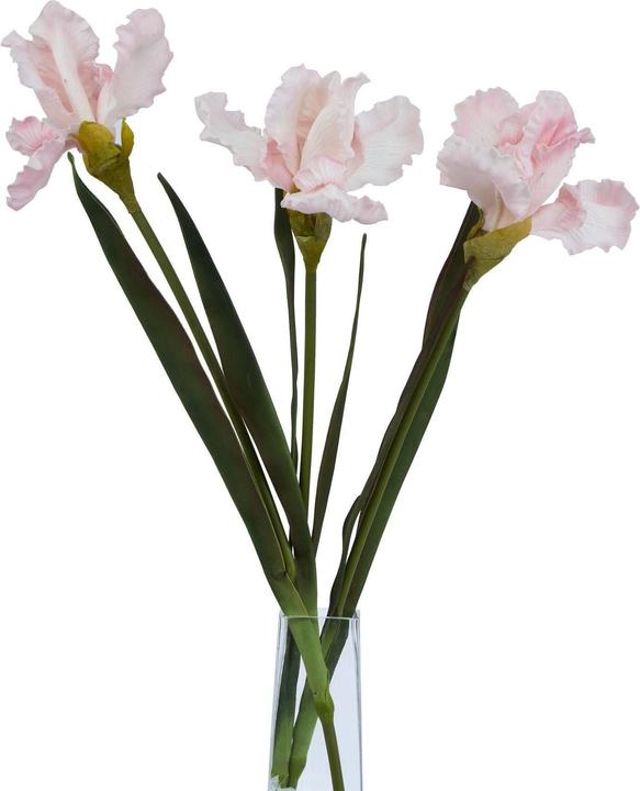 Immagine prodotto Hill Interiors The Natural Garden Collection Iris Frangiato Fiore Artificiale (83 cm)