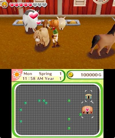 Actual product image Nintendo Harvest Moon: Skytree Village (3DS)