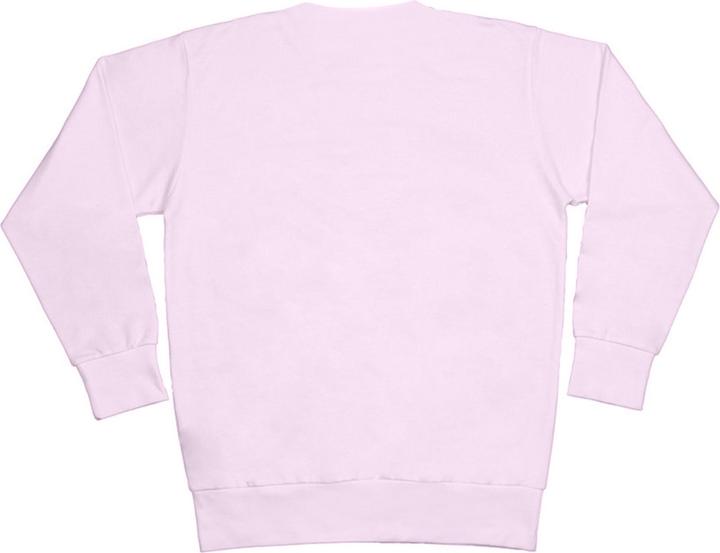 Actual product image The Sweatshirt (XS)