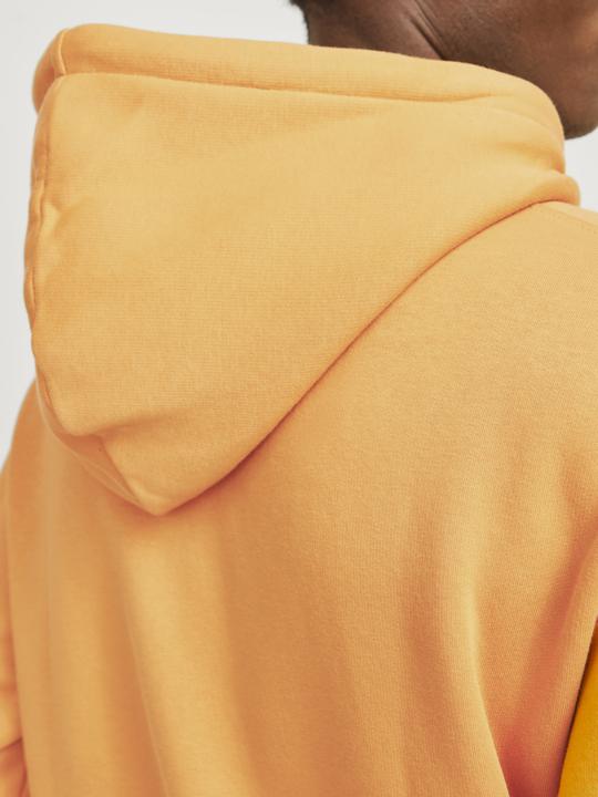 Actual product image Jack & Jones Jorvesterbro Sweat Hood Noos (XXS)