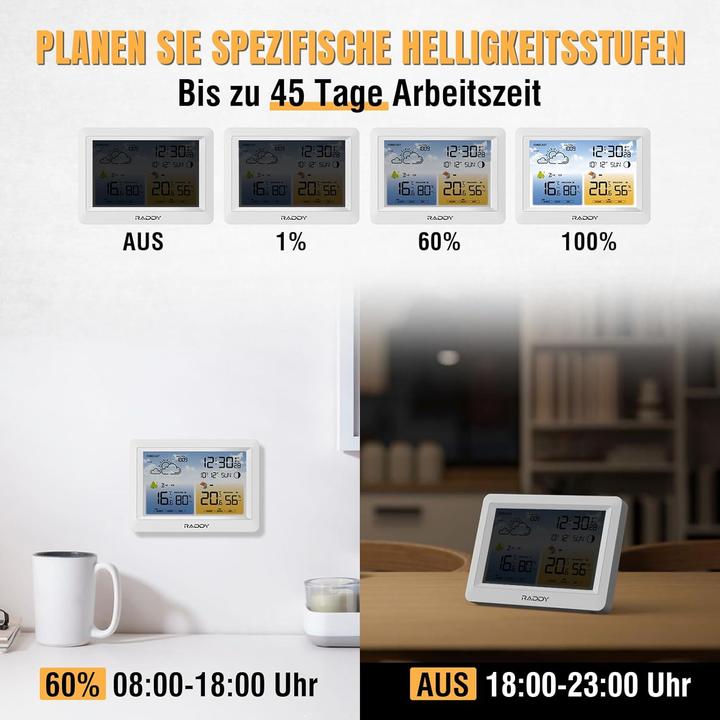 Actual product image Raddy Funk-Wetterstation WM6