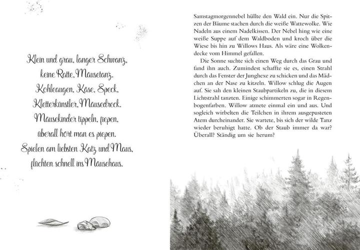 Produktbild Planet Ein Mädchen namens Willow 4: Nebeltanz (Deutsch, Simona Ceccarelli, Sabine Bohlmann, 2023)