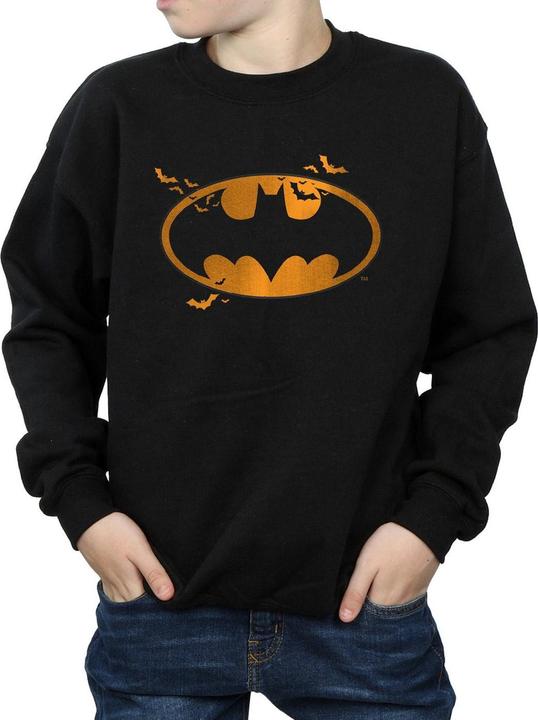 Produktbild Batman Halloween Logo Sweatshirt Jungen (140, 146)