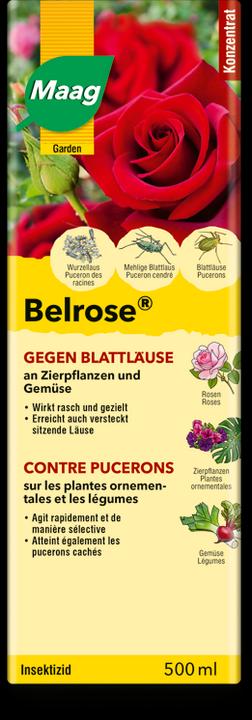 Produktbild Maag Belrose (Blattläuse)