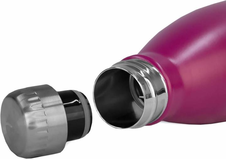 Actual product image FLSK Drinking bottle (0.50 l)
