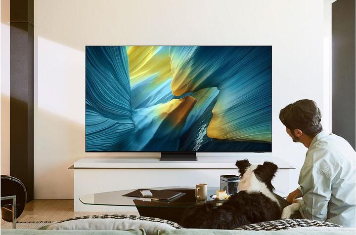 Produktbild Samsung QE55S95F (55", S95F, OLED, 4K, 2025)