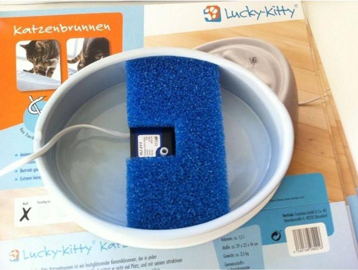 Image du produit Lucky Kitty Filtre permanent pour cheveux longs
