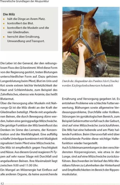 Produktbild Akupunktur beim Pferd (Deutsch, Ina Gösmeier, 2022)
