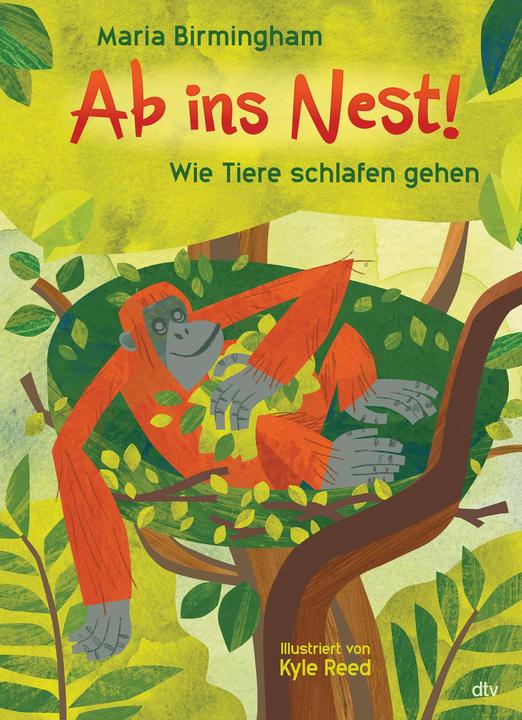 Actual product image Ab ins Nest! – Wie Tiere schlafen gehen (German, Mary Birmingham, 2023)