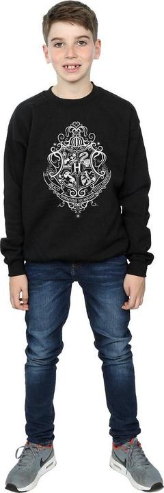 Actual product image Boys Hogwarts Draco Dormiens Crest Sweatshirt (116)