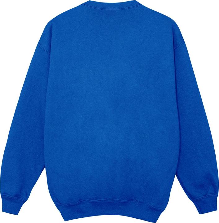 Actual product image Boys Avengers Captain America Scratched Shield Sweatshirt (152, 158)