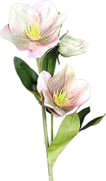 Produktbild DPI Kunstblume - Christrose - rosa - ca. 33 cm (33 cm)