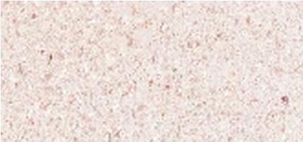 Manasi 7 Caring Multifunctional Oil For Lips, Cheeks And Eyes Tinted Beauty Potion 6 Ml (6 ml)