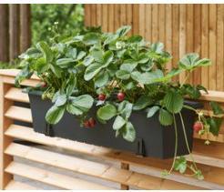 Produktbild Orthex Halterung für Blumenkasten