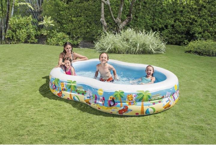 Actual product image Intex Paradise