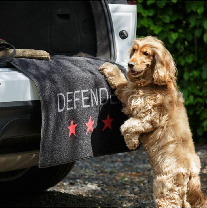 Produktbild Pet Rebellion Car Defender Carpet Protection - 100x155cm - (869165975190) (Hund)