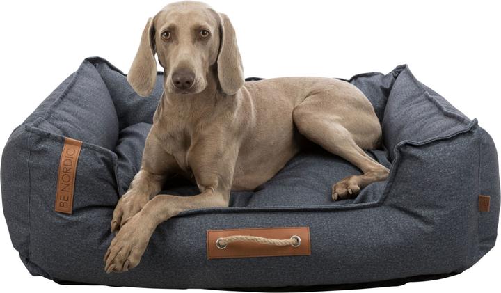 Immagine prodotto Trixie Föhr (Cane)