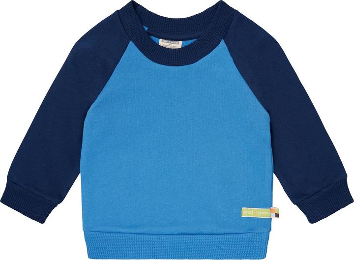 Immagine prodotto loud + proud Felpa con maniche raglan (68)