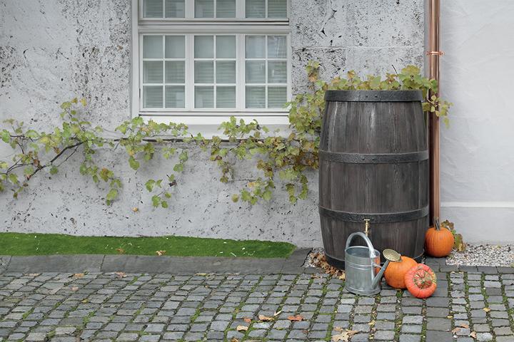 Image du produit Arves Regenwassertonne (500 l)