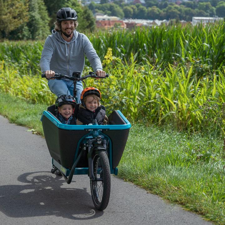 Image du produit Cube Bike Cargo Hybrid (46 cm)