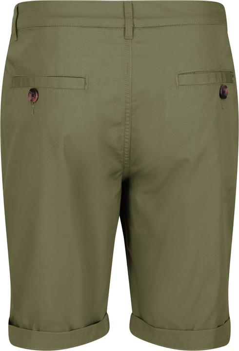 Produktbild Regatta Cobain Shorts (52 D)