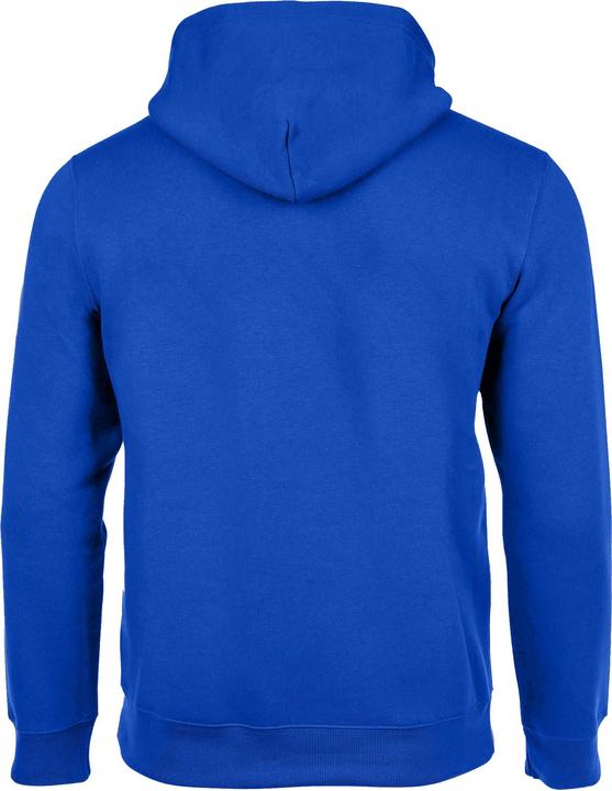 Image du produit Champion Legacy Hoodie (L)