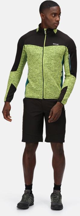 Produktbild Regatta Highton Shorts Wandern (54 D)