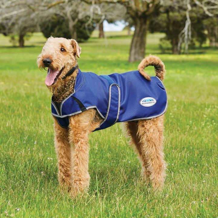 Actual product image Weatherbeeta Dog Coat Comfitec Premier Free Duo Deluxe Parka (75, Dog coat)