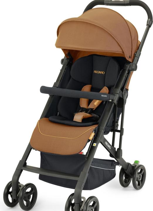 Image du produit RECARO Easylife Elite 2